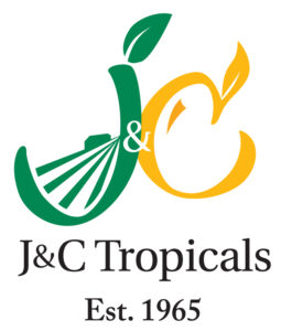 JC Tropicals